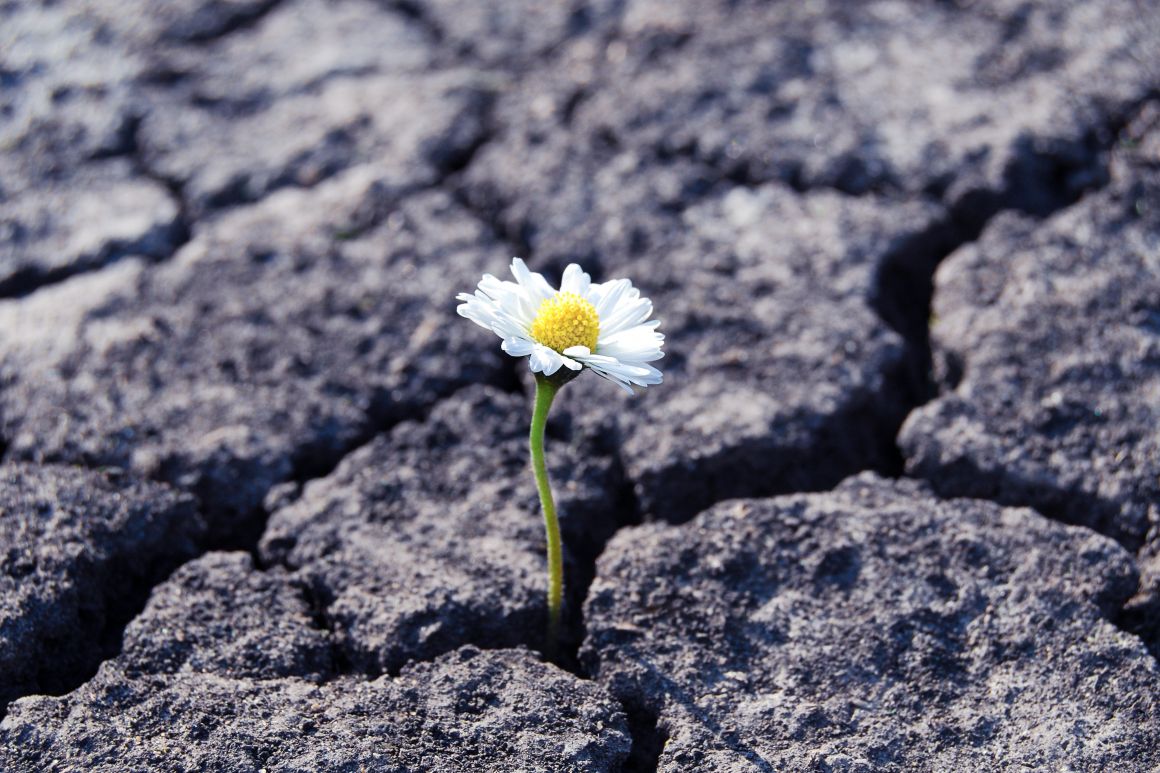 How To Support Mental Health and Build Resilience