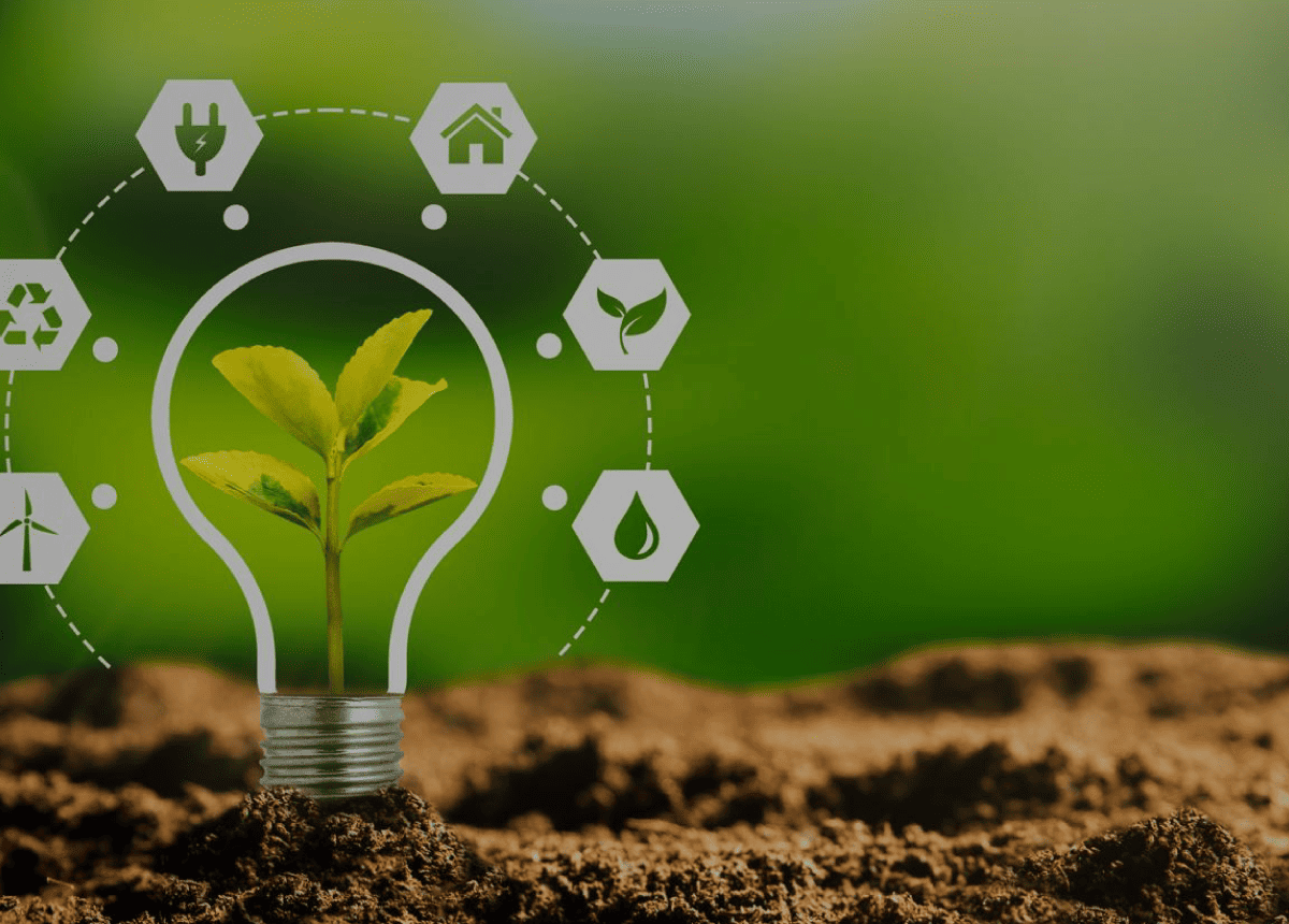 Enhancing Sustainability in Education